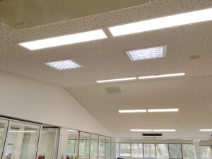 Natural Lighting Skylights | The Power of Skylights in Commercial Spaces