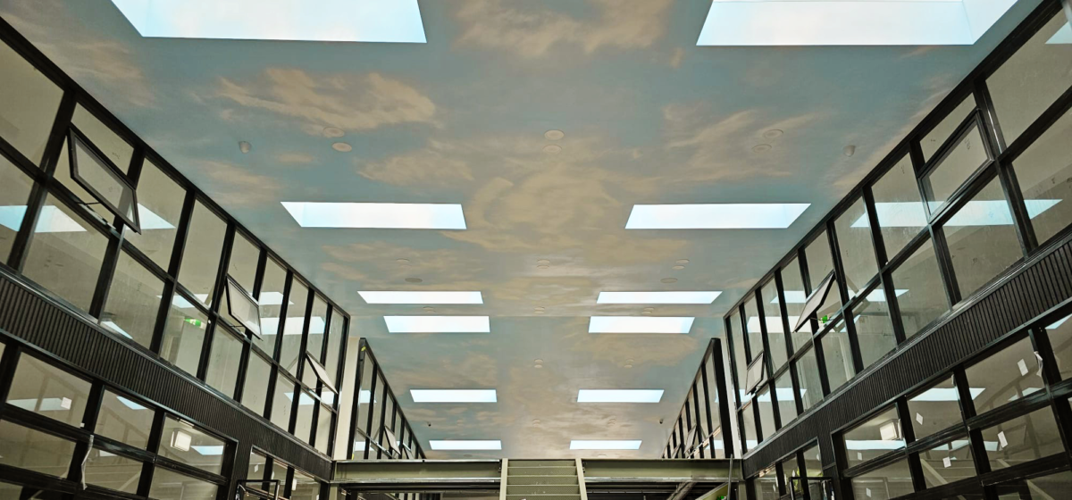 Commercial skylights in NSW
